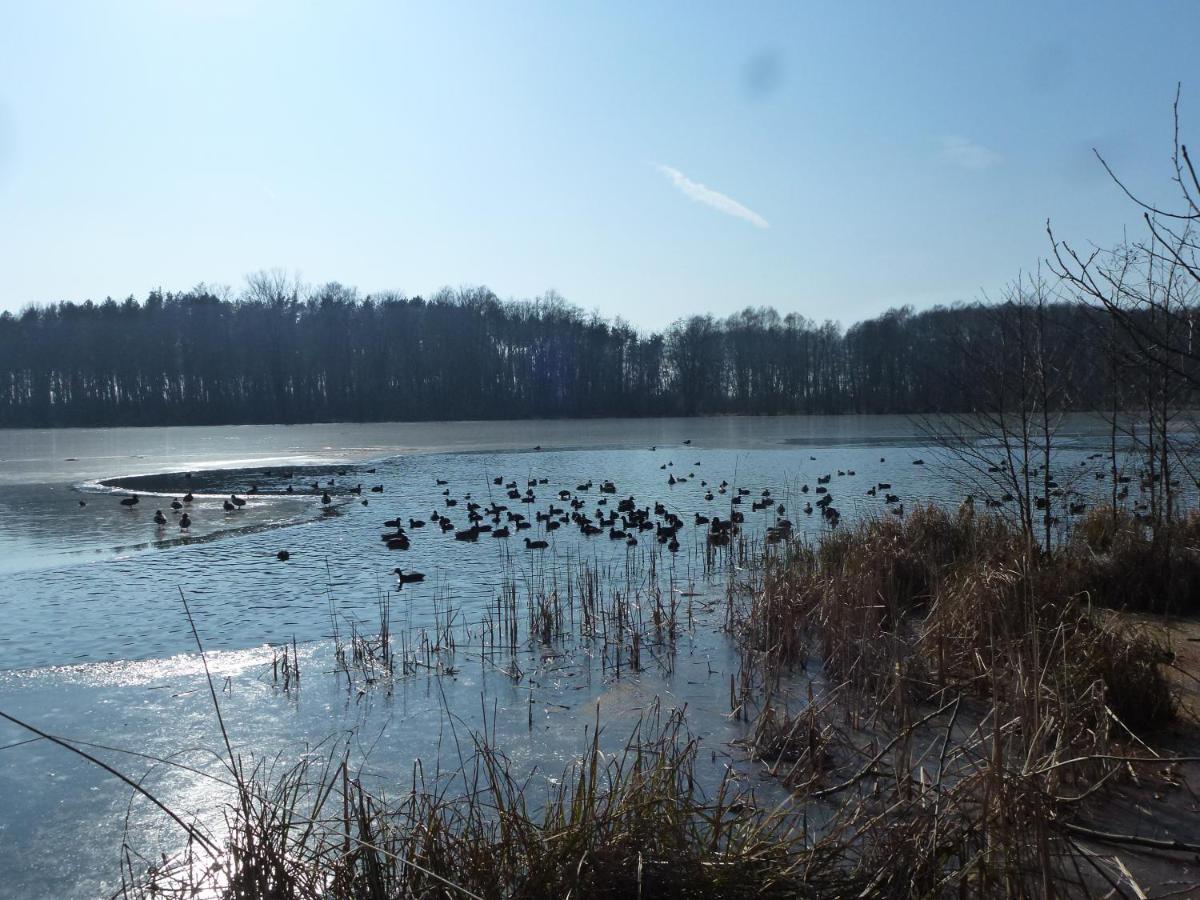 Seeblick Kemnitz Werder (Havel) Exterior foto